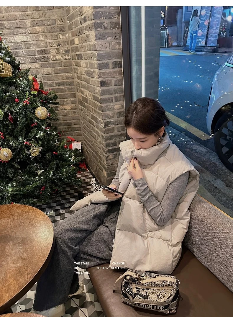 羽绒马甲女2025新款90白鸭绒四层锁绒宽松简约百搭立领坎肩外套冬