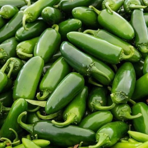 东北鲜泡椒港椒鲜辣椒皮薄肉厚泡椒咸菜炒肉港椒新鲜油焖辣椒包邮