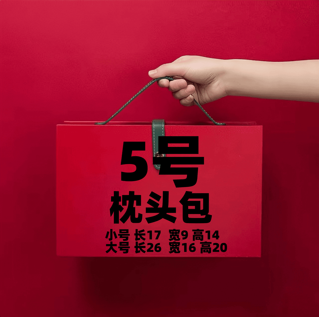 【5号】2023网红时尚百搭休闲枕头包6556