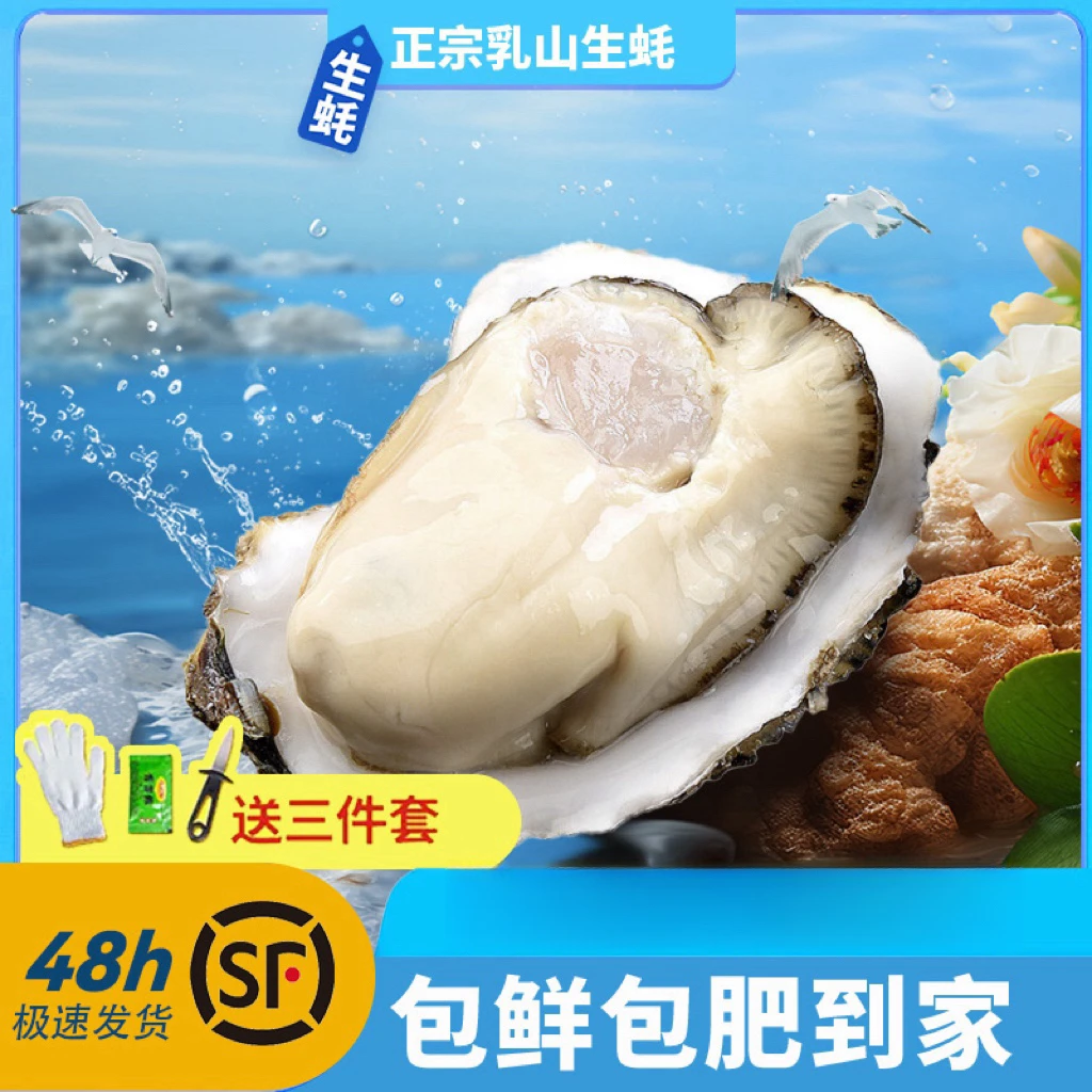 【顺丰包邮】5斤装正宗乳山带壳生蚝鲜活原产地精品级肥美海蛎子