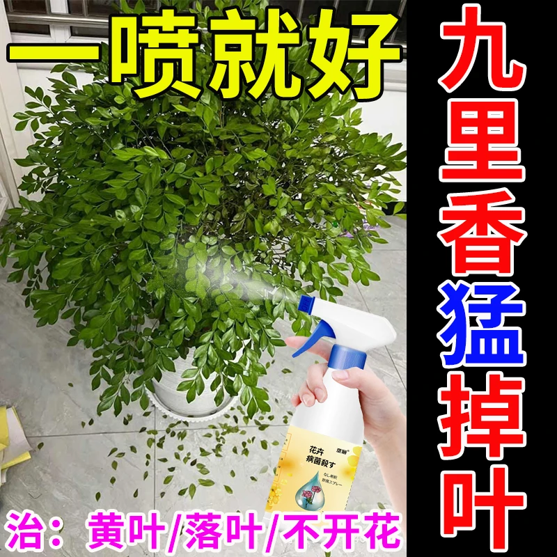 【巨好用】九里香营养液专用肥料九里香叶子发黄掉 叶不开花液体肥