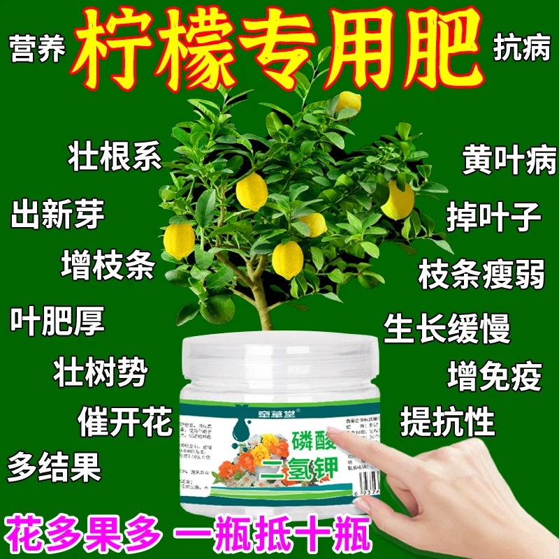 柠檬盆栽专用肥柠檬树催花保果肥料香水柠檬黄叶干叶掉叶磷酸钾肥