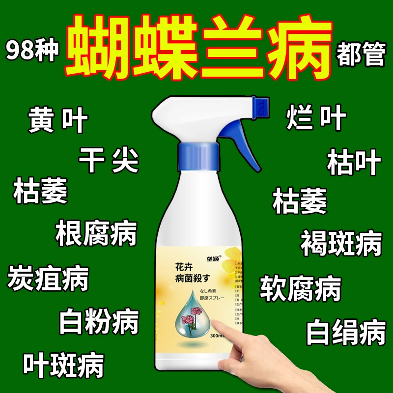 蝴蝶兰肥料专用肥蝴蝶兰病菌杀防治根腐病软腐病黑斑病抗病促开花