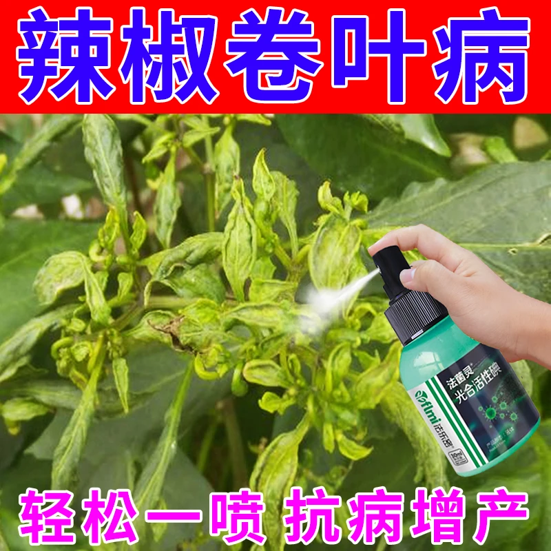 辣椒病杀菌剂辣椒卷叶病黄叶病软腐病烂果病落花落果病专用叶面肥