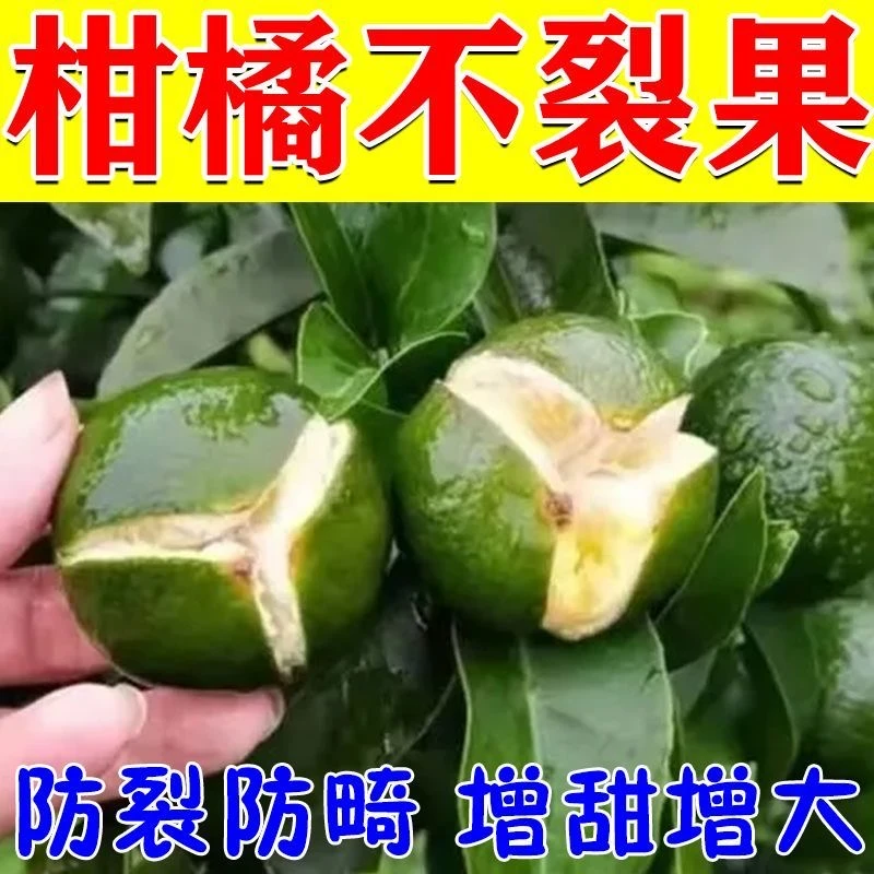 柑橘果不裂柑橘防裂剂增产增收增甜水灵防裂叶面肥农用防裂果