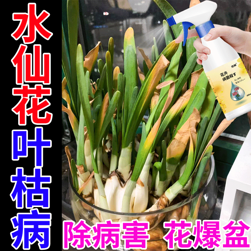水仙花叶枯病专用黄叶烂根营养液茎腐病褐斑病花叶病灰霉病杀菌灵