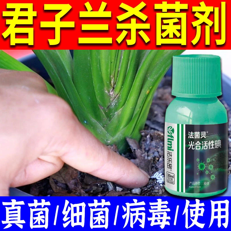君子兰病专用杀菌剂兰花专用杀菌剂叶斑病炭疽病黄叶黄斑病叶面肥