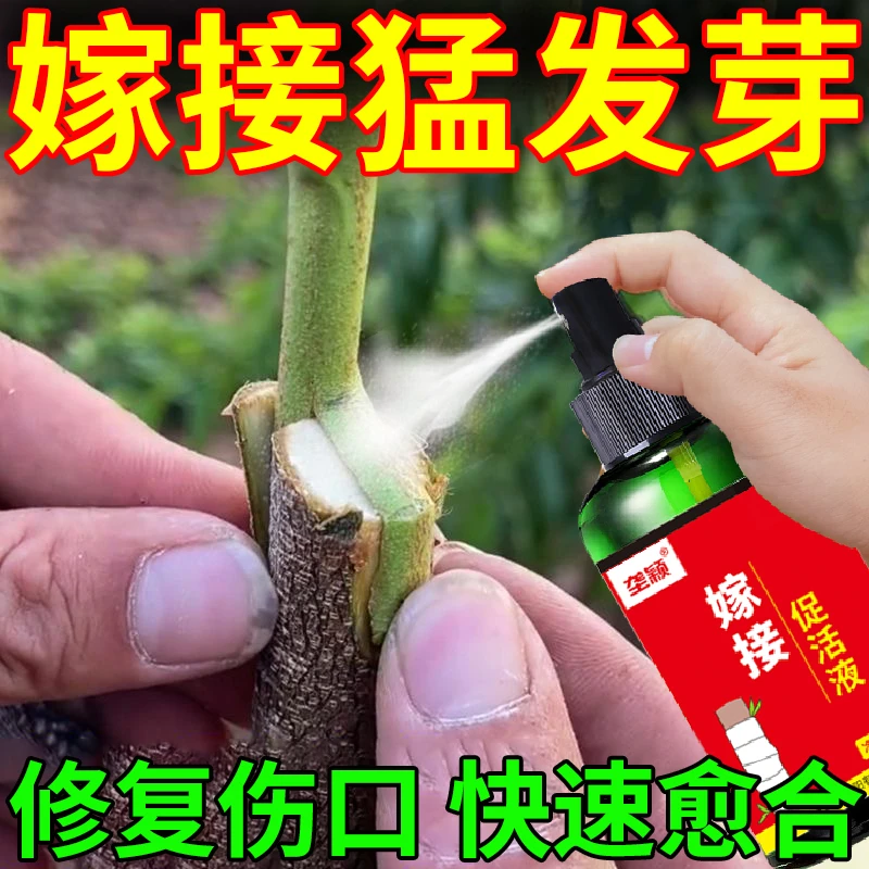 果树嫁接万能型植物嫁接促活液伤口愈合剂植物嫁接月季果树通用