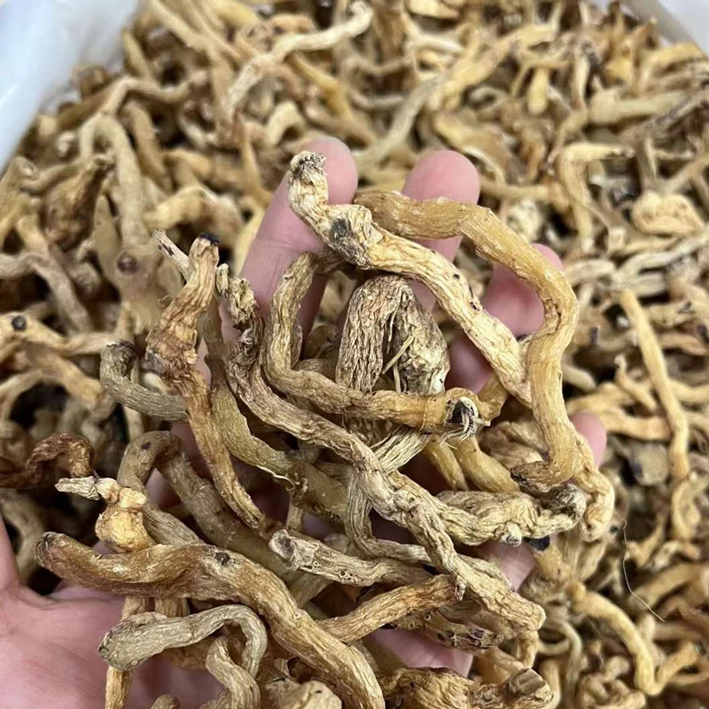 【大眼姑娘】野 玉竹条大自然无硫250g/500g  湖南靓货
