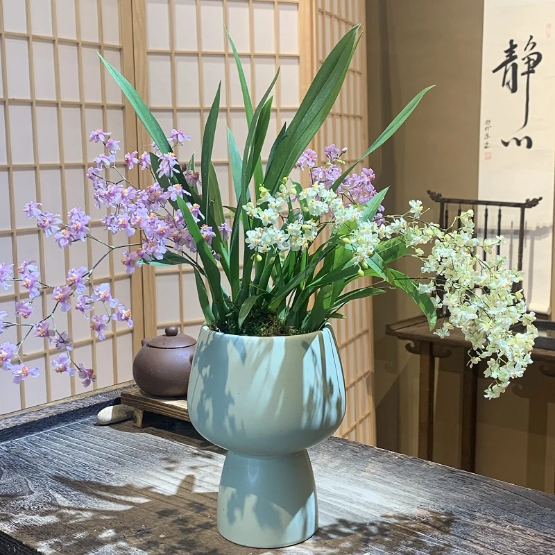 浓香型粉白双拼香水文心兰梦香兰盆栽带花苞发货室内美观花卉