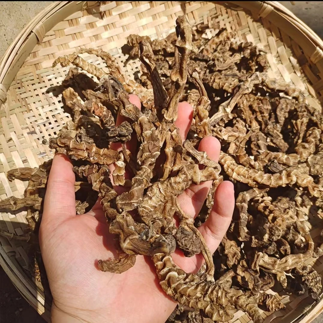 干货土特产-地参500g