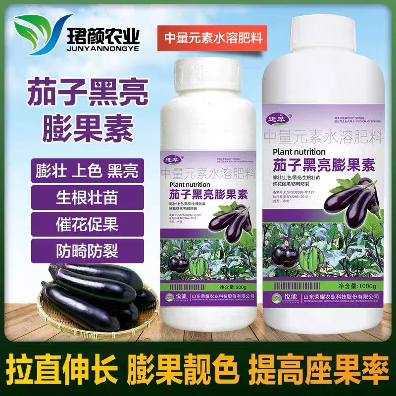 茄子专用叶面肥黑亮膨大靓叶靓果膨大提高产量抗病抗逆