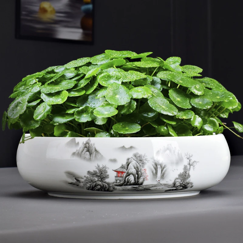 简约无孔陶瓷水仙花盆铜钱草专用盆水培富贵竹碗莲大口径家用器皿