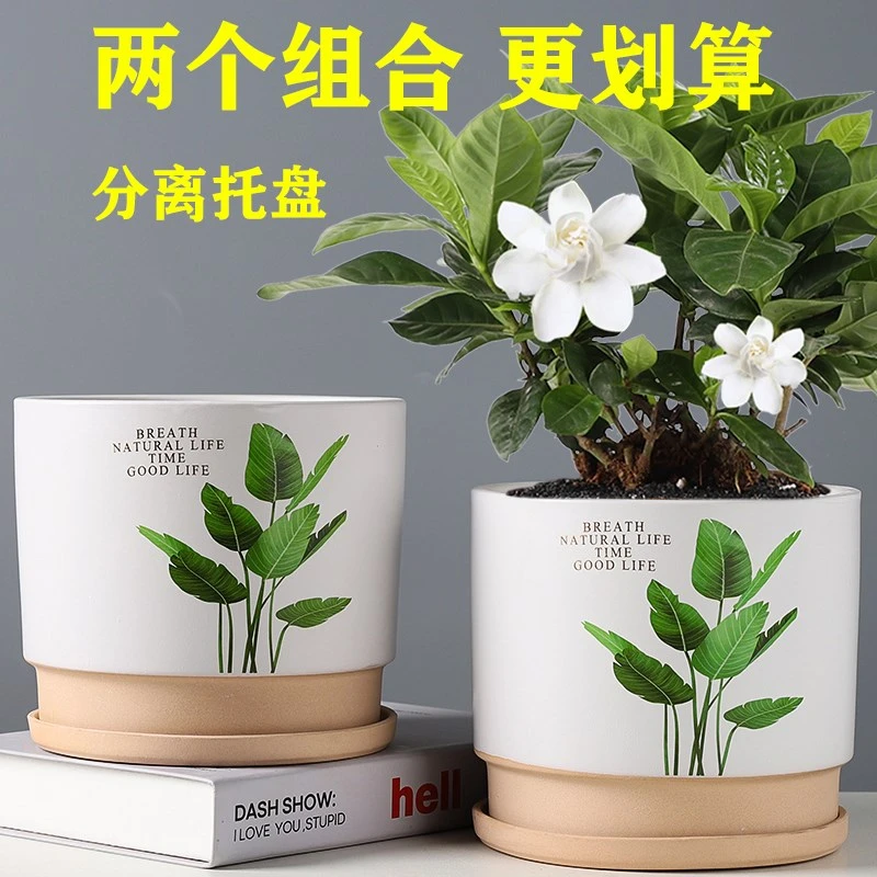 花盆陶瓷大号清仓特价蝴蝶兰个性粗陶透气家用绿萝多肉花盆带托盘