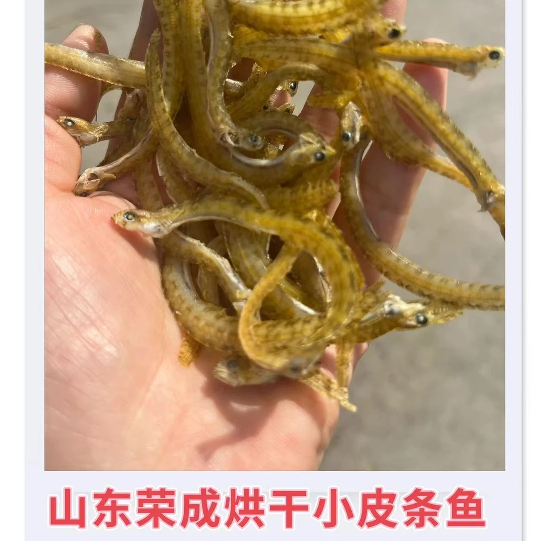 粉丝专享 山东荣成烘干  小皮条子鱼    6~7成干咸鱼