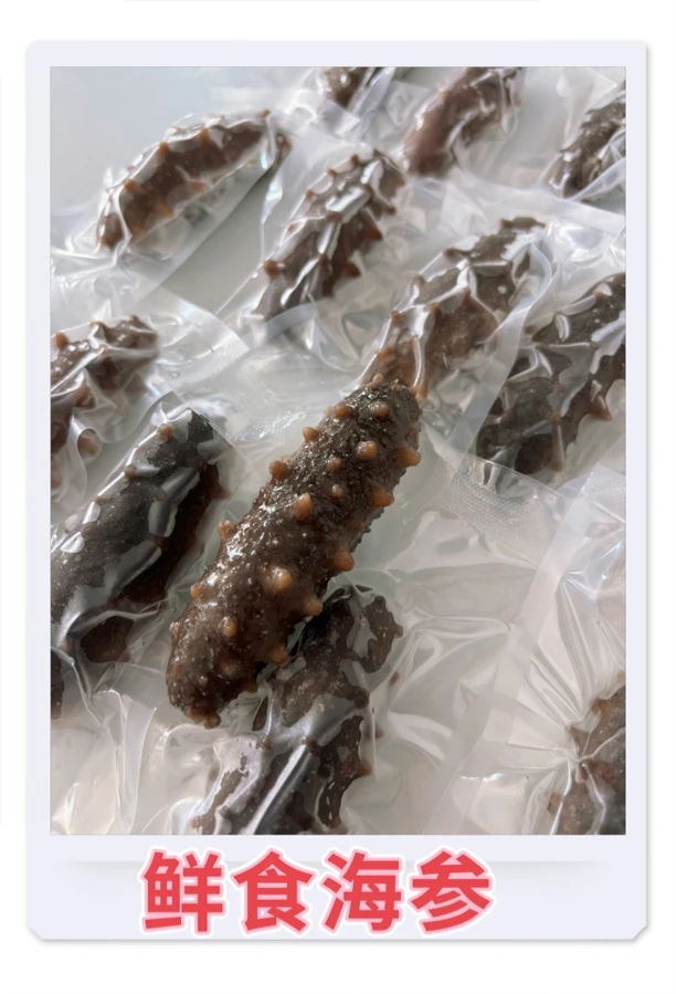 鲜食海参（7头左右/斤，12～14头左右/斤）