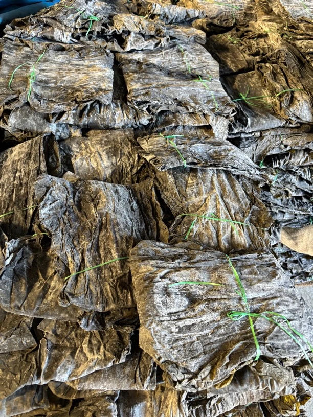 山东荣成天然晾晒海带（整颗海带）从根到稍的 三斤包邮