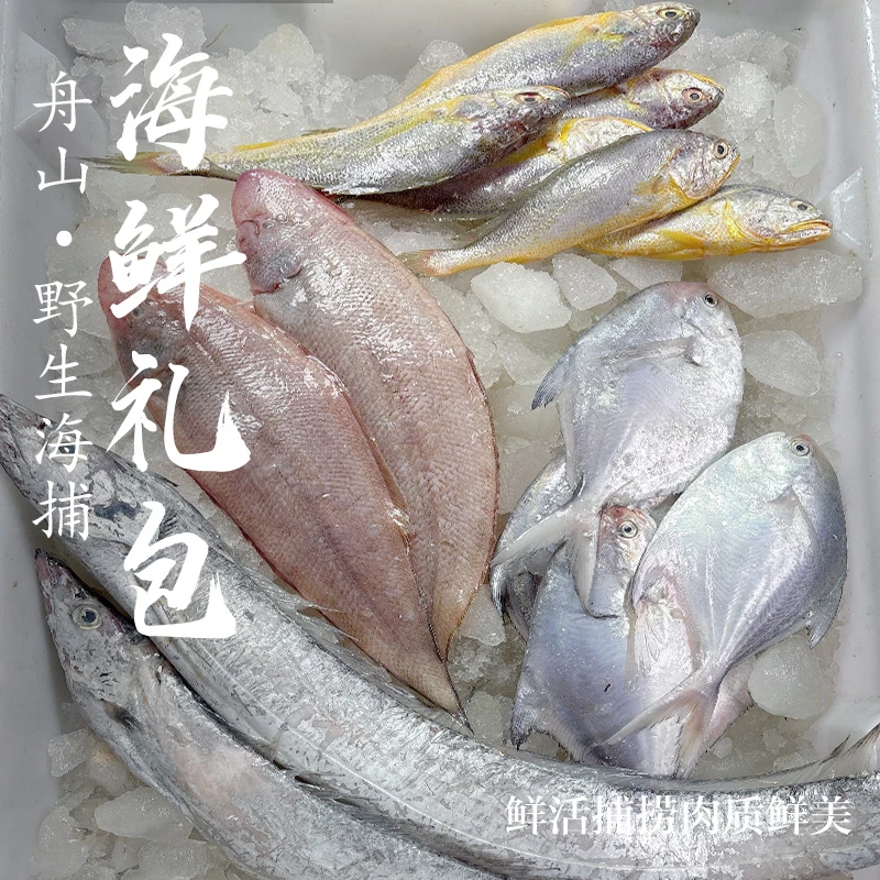 【钳子专属】舟山野生海鱼组合套装4种搭配大礼包小黄鱼鲳鱼带鱼