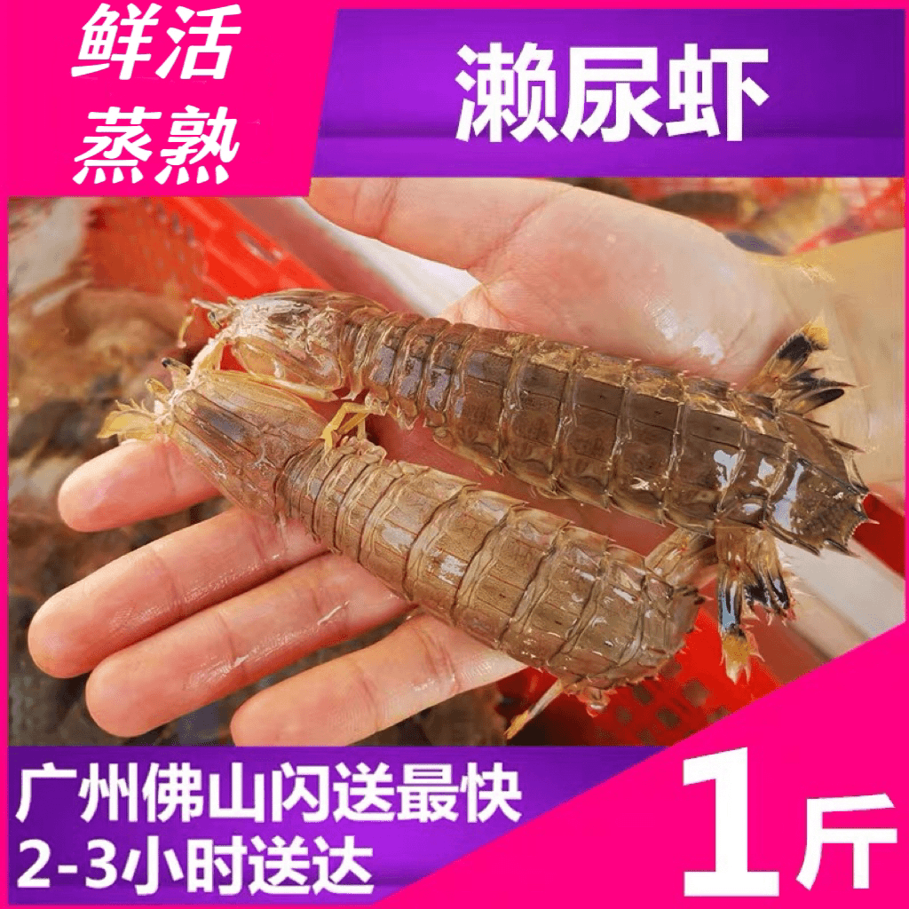 新鲜捕捞（一斤15-17条）条鲜活皮皮虾熟冻发货大虾爬海鲜野生虾姑
