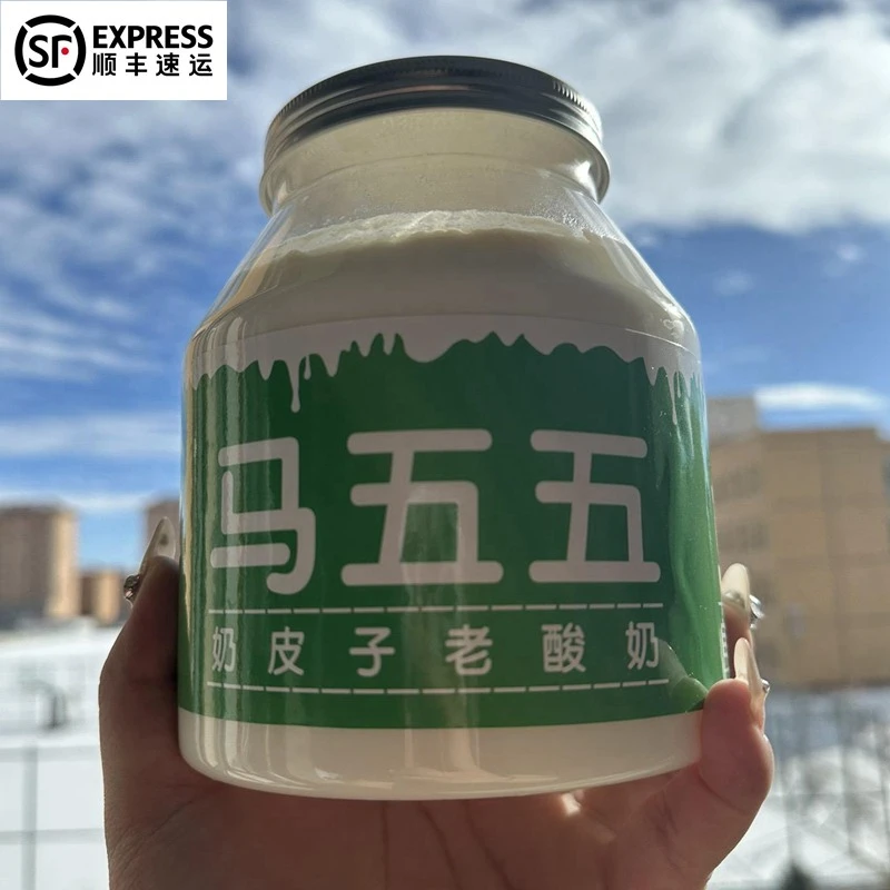 马五五正品奶皮子酸奶内蒙古经典原味老酸奶酸奶5倍奶皮子plus版