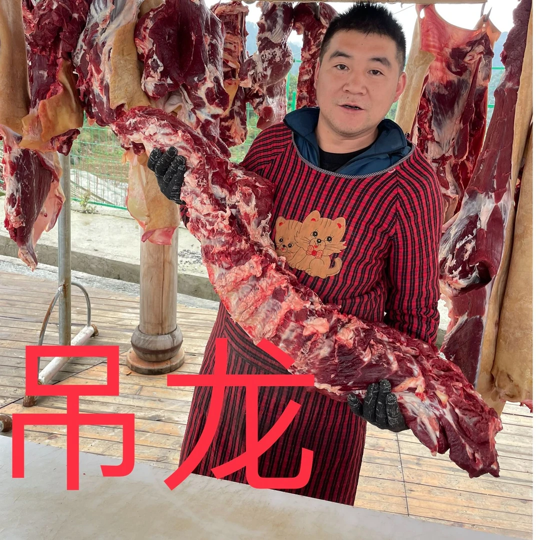 【吊龙直播现称】贵州农村散养小黄牛带皮吊龙 顺丰包邮