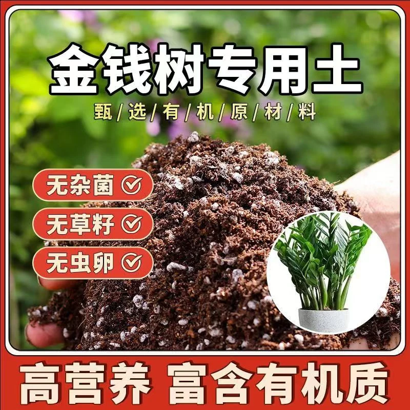 金钱树种植土金钱树专用营养土种花养花土疏松透气有机土花卉土壤