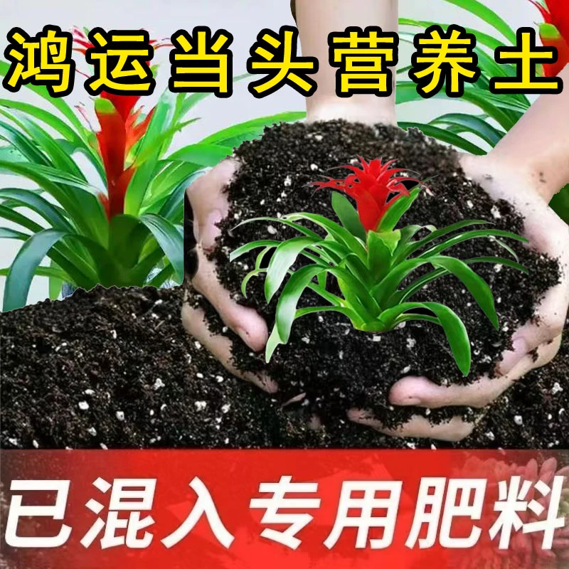 鸿运当头专用土酸性花卉土通用营养土种植土有机土绿植园艺盆栽土