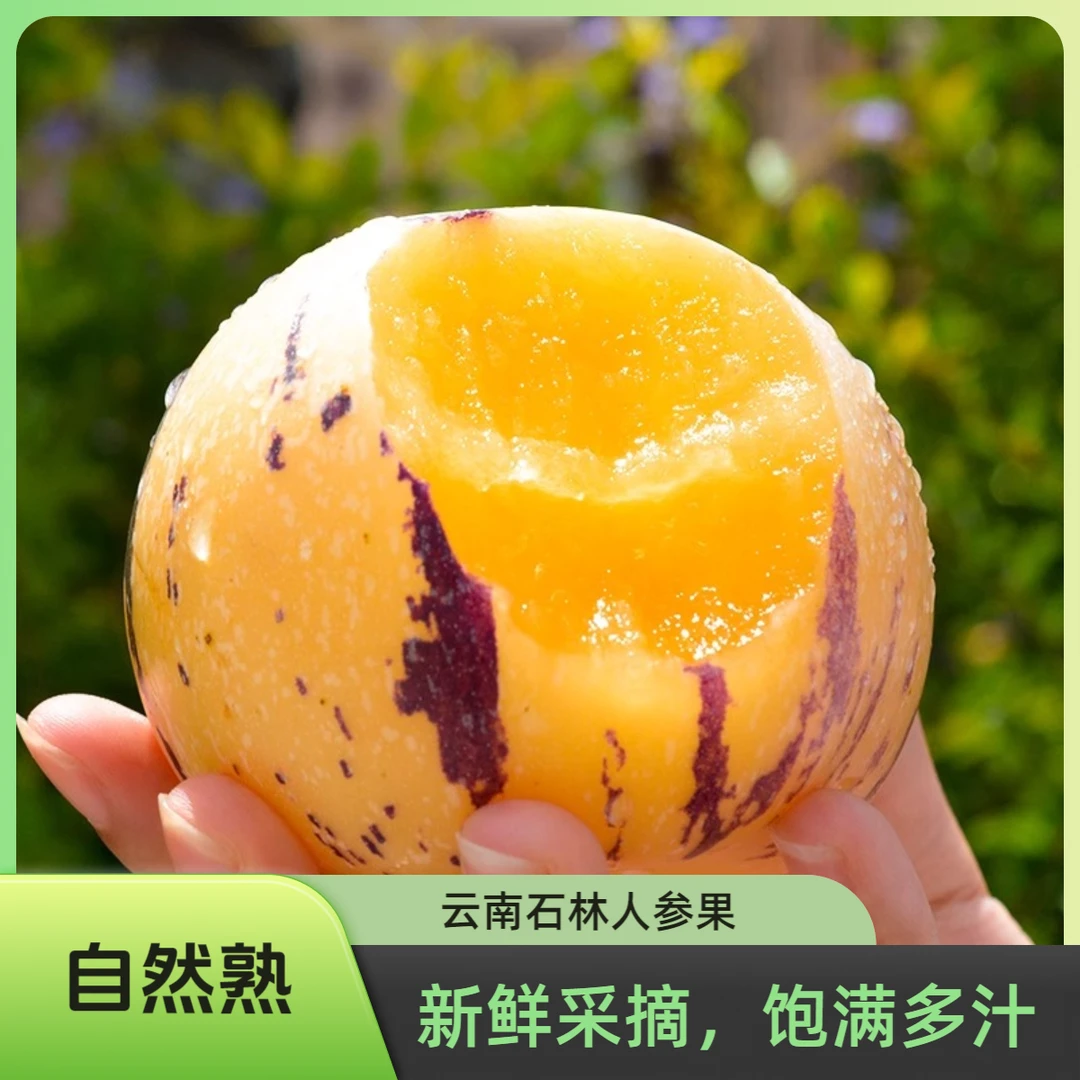 云南石林人参果新鲜水果饱满多汁应季当季整箱特产4.5斤装