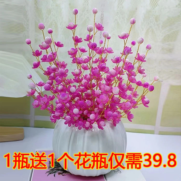 买1瓶花束送南瓜花瓶1个-新款杨梅太阳花材料包