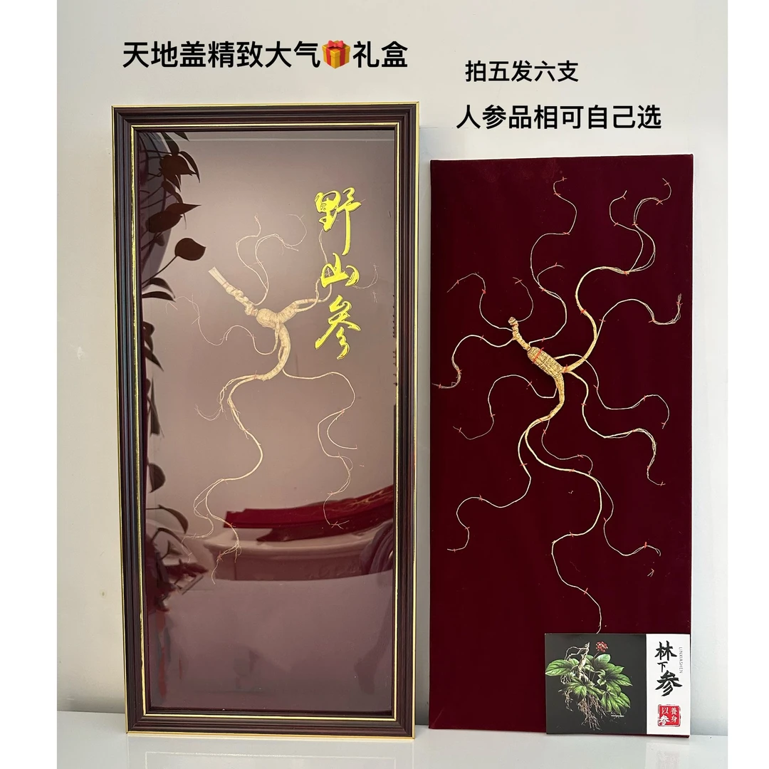 天地盖精致大气足龄林下参礼盒60cm80cm送人煲汤泡水食用