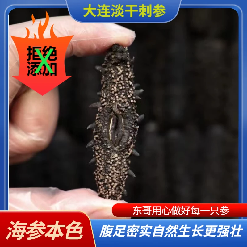 【东哥优鲜海产】大连淡干深海刺海参 严选品质
