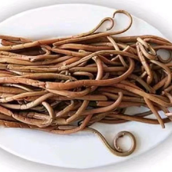 主播推荐  长白山牛毛广  (薇菜)  250克