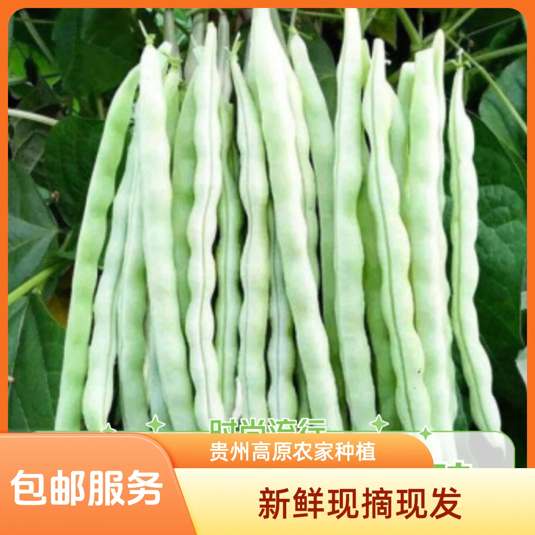 新鲜四季豆棒豆贵州高原农家路天种植新鲜蔬菜现摘现发3/5斤包邮