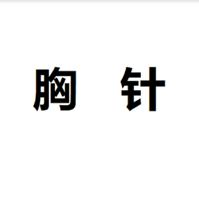 钛钢胸针 法式设计感字母胸针