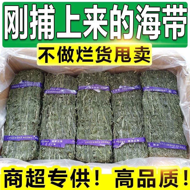 烘干海带丝干货干海带丝厚无沙免煮凉拌菜250克/2500盐干海带严选