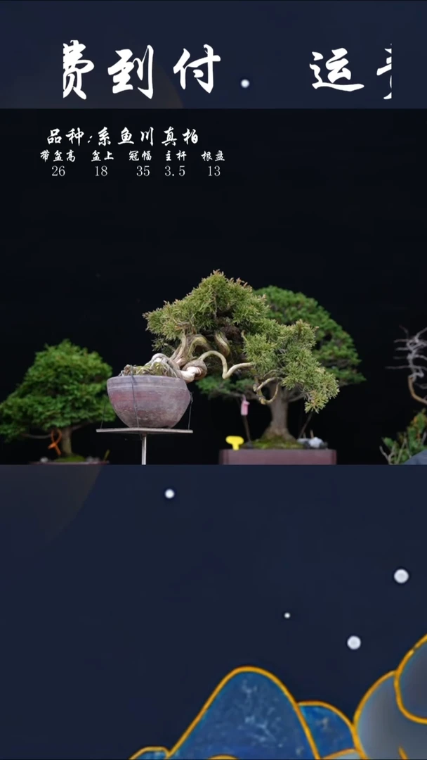 【闪购商品】花盆000
