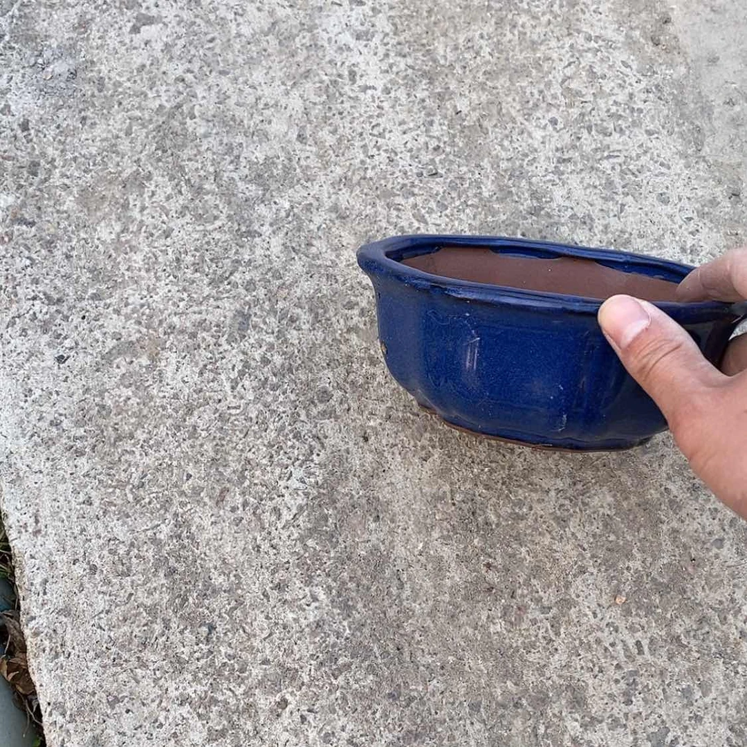 【闪购商品】*️****花盆