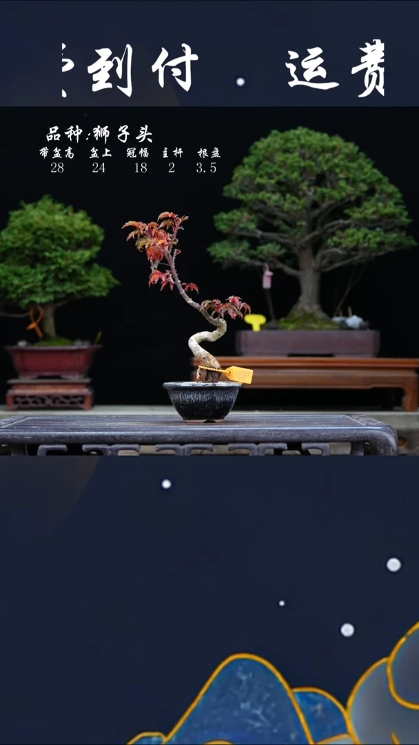 【闪购商品】花盆0000