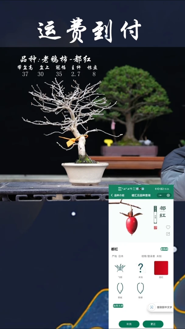 【闪购商品】12673