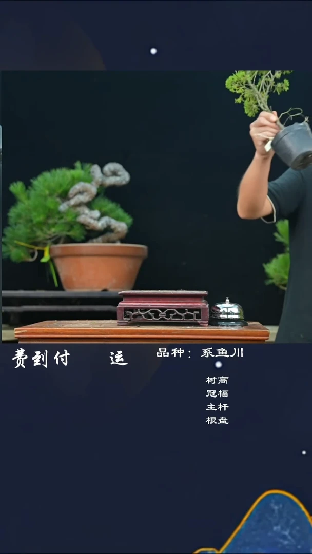 【闪购商品】91149