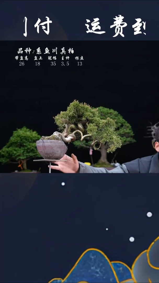 【闪购商品】花盆00000