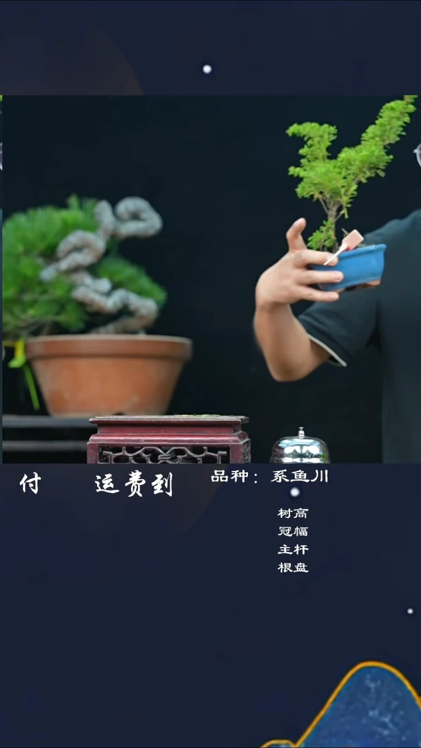 【闪购商品】91621