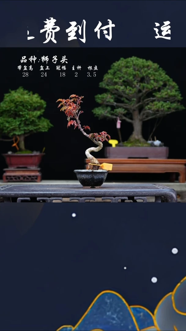 【闪购商品】花盆00000