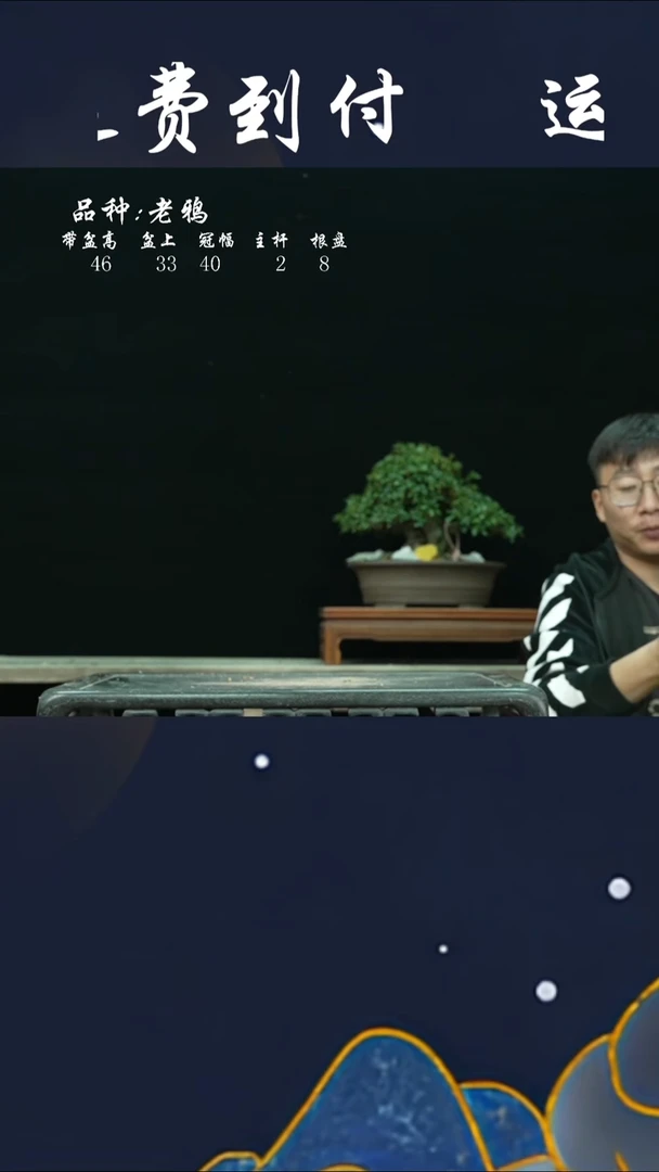 【闪购商品】14679