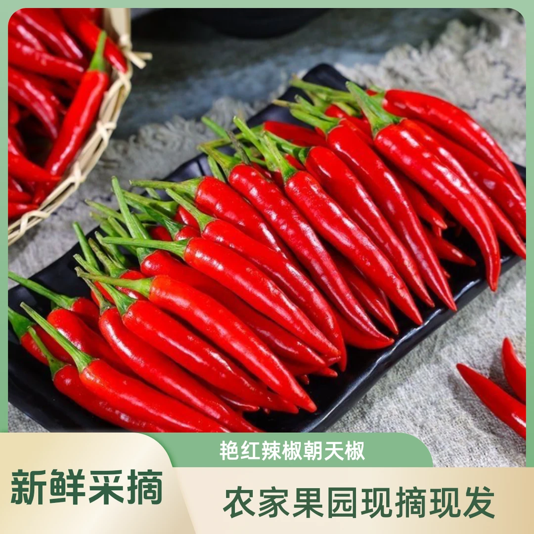 京东直达新鲜现摘高辣小米辣可用于餐饮调味的红辣椒炒菜必备蔬菜