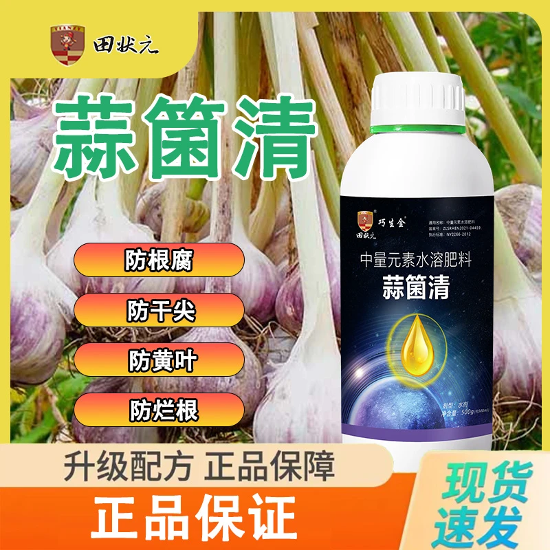 大蒜专用生根壮苗预防干尖膨大增产茎秆粗壮蒜头大产量高叶面肥
