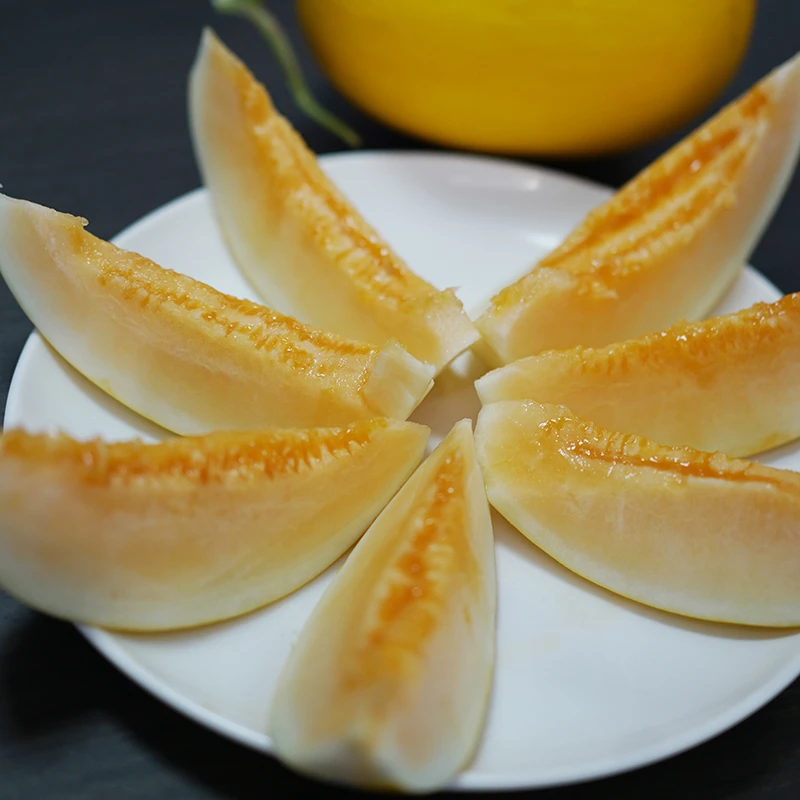 甘肃民勤沙漠蜜瓜金红宝甜瓜哈密瓜装新鲜多汁产地直发大哈密瓜