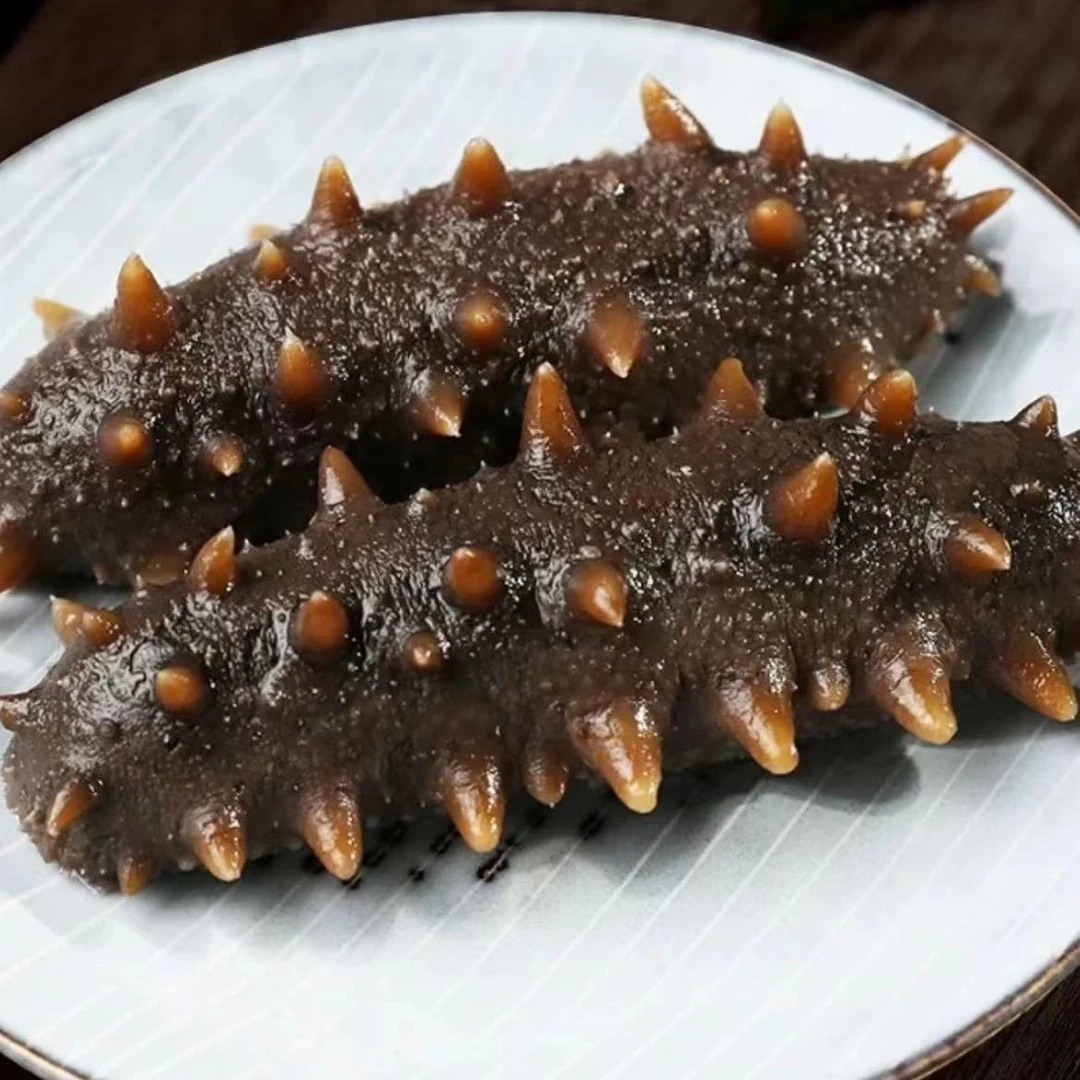深海底播鲜食海参深海辽刺参 8-10头/斤 到手3斤24-30头 营养鲜活
