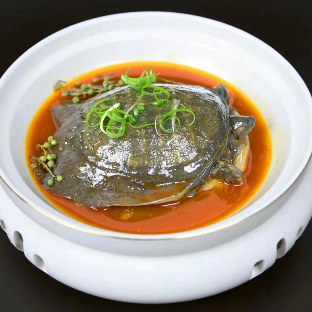 正宗生态甲鱼新鲜真空包装