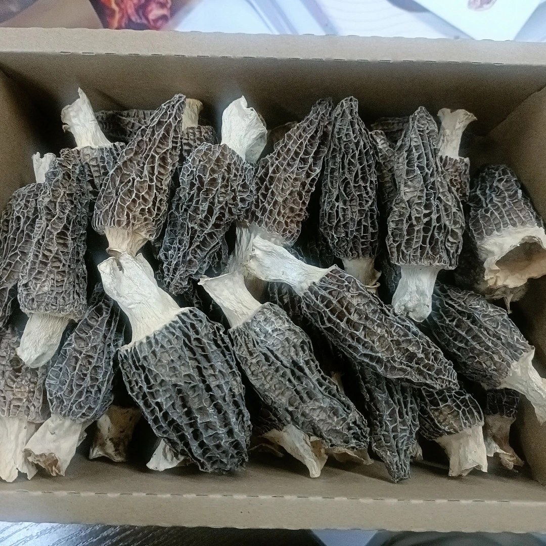 [凡科农业] 羊肚菌50g超值新货炖汤煲汤营养干货